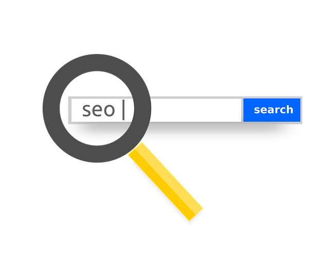 servicii seo