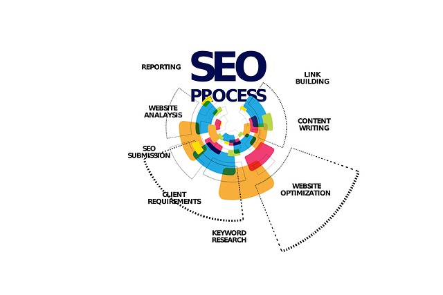 servicii seo profesionale