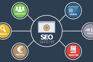 cursuri seo online