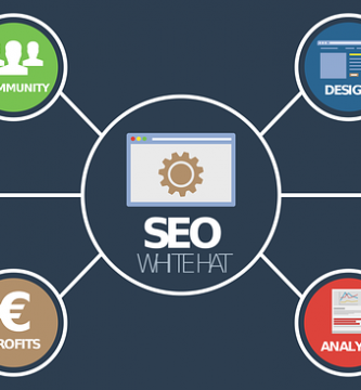 cursuri seo online