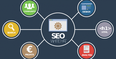 cursuri seo online