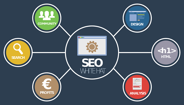 seo audit